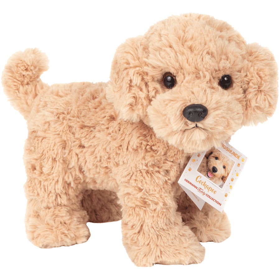 Cockapoo stehend 23 cm