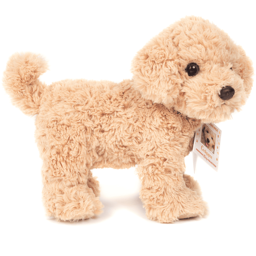 Cockapoo stehend 23 cm
