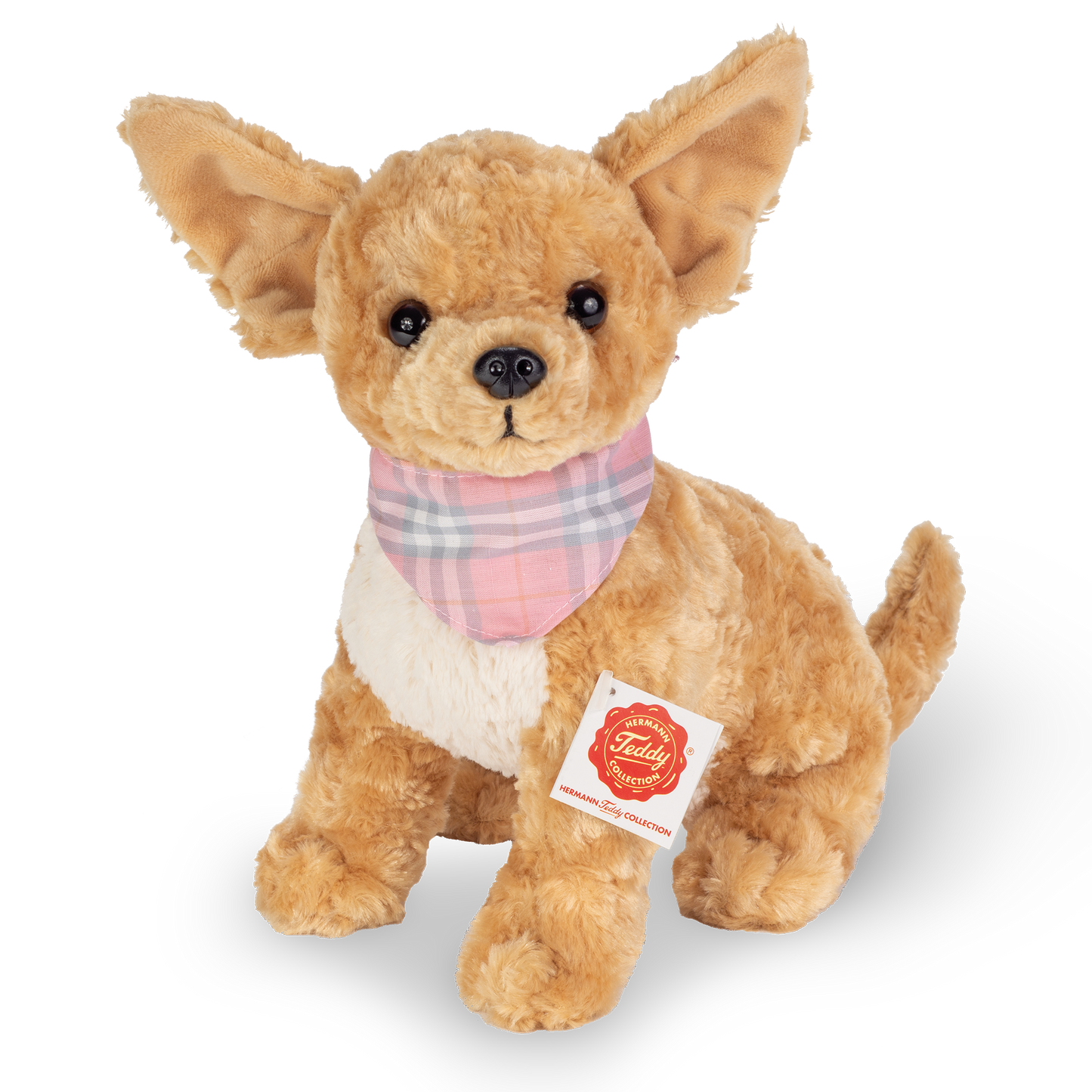Chihuahua 27 cm