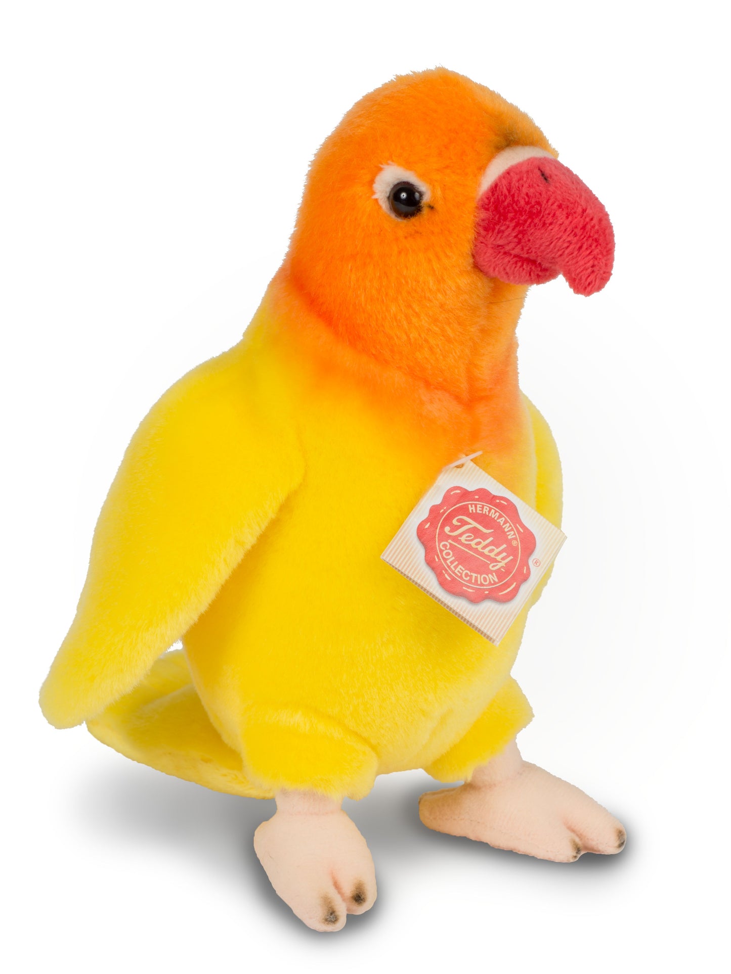Lutino 20 cm