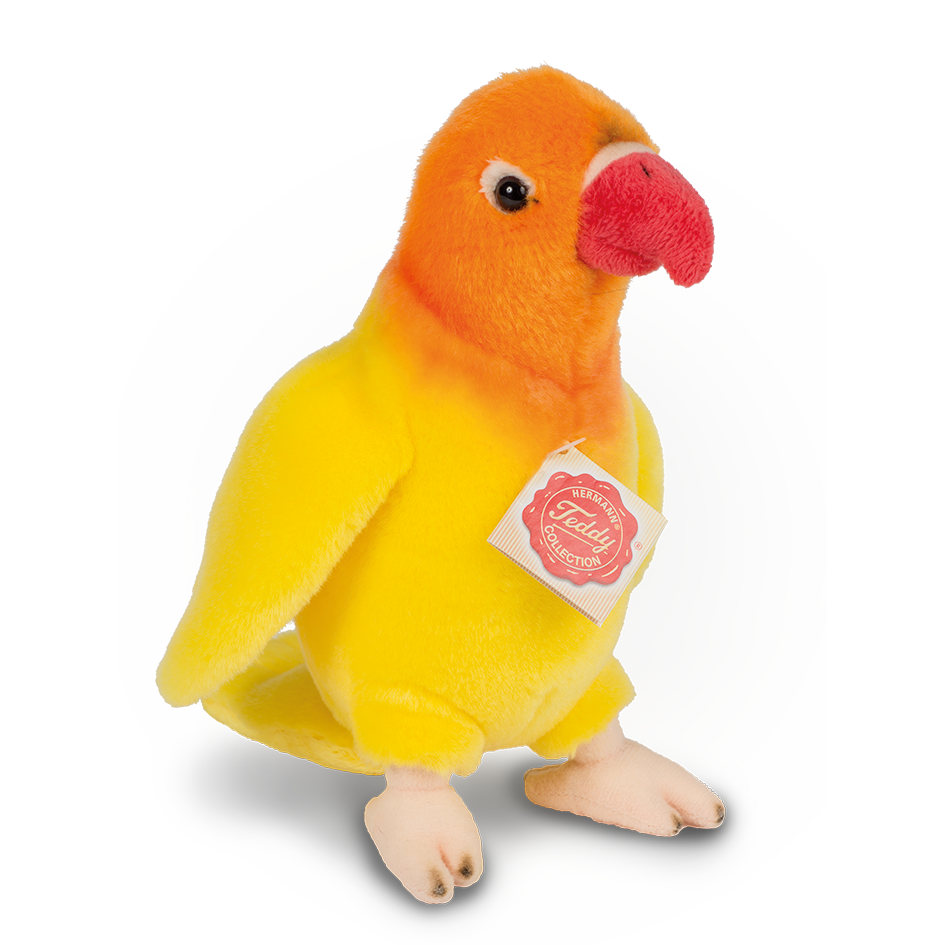 Lutino 20 cm