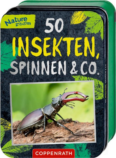 50 Insekten, Spinnen & Co.